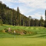 stewart-creek