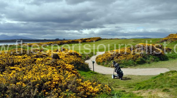 ardglass-11