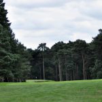 woburn-13th-hole-1