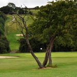 etchinghill-valley-course-1