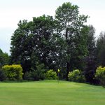 glen-gorse