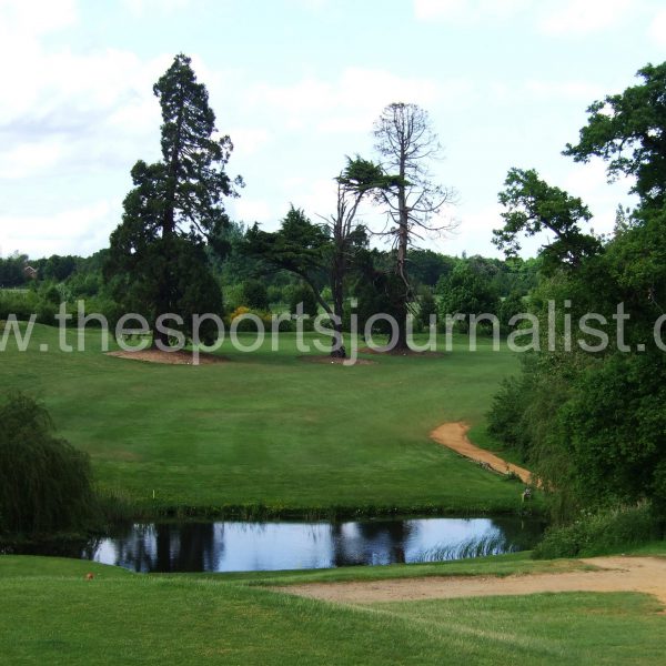 ufford-park-8th-hole